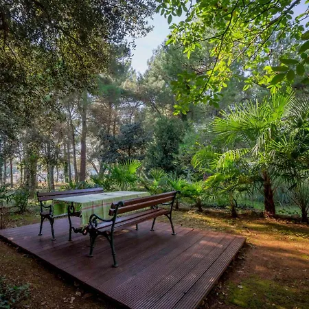 Apartment Rossella 3-1 Rovinj